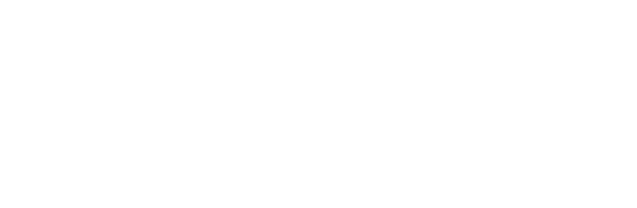 White logo for Ackerman-Nolan Heating, Air Conditioning & Duct Cleaning in Colfax, WA.